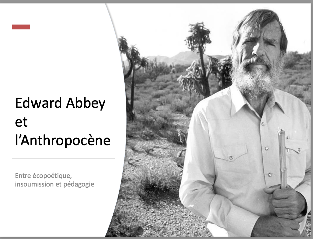Quand la littérature questionne l’Anthropocène