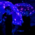 Spectacle Charrat Parapluies Copie